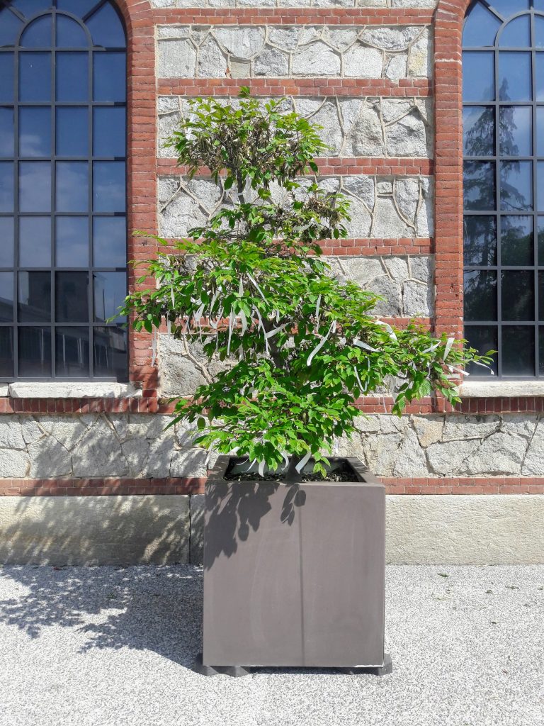 20200602_160241-768x1024