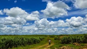 WhatsApp-Image-2021-12-10-at-14.44.04-2-300x169