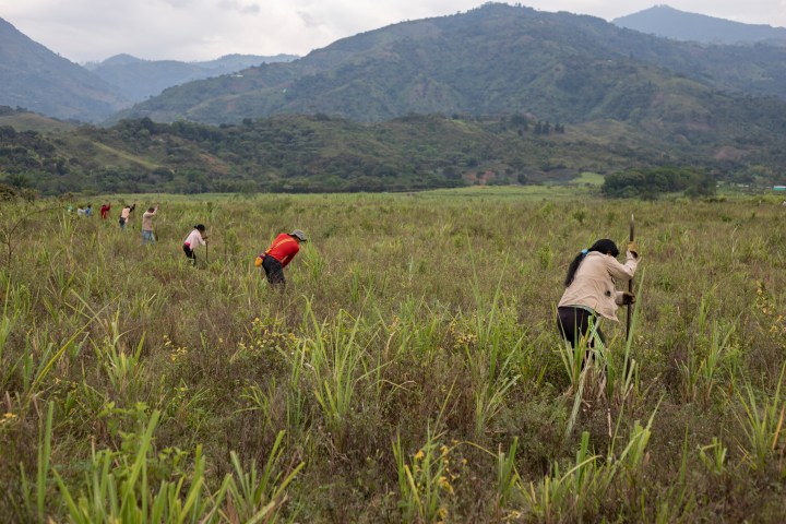Nella Terra liberata dei&nbsp;comuneros