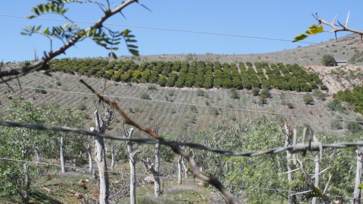 Petorca, la provincia chilena en emergencia hídrica que rechazó la Constitución&nbsp;ecologista