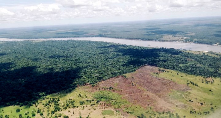 Amazzonia, non tutto è perduto