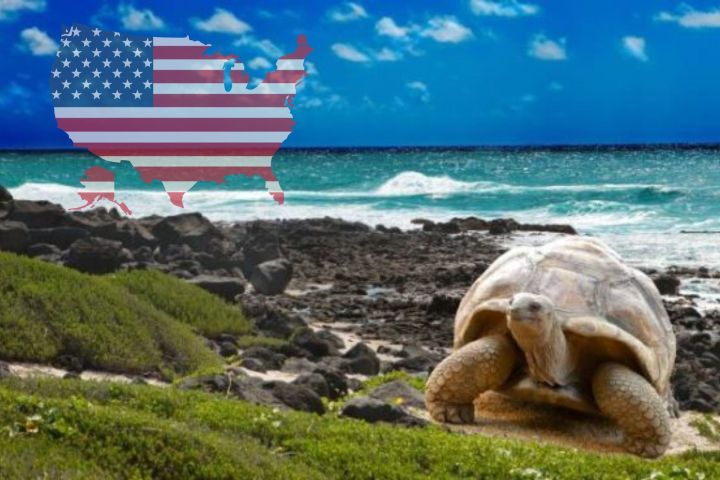 Una base militar en tu casa: apuntes geopolíticos entre EU, México y&nbsp;Galápagos